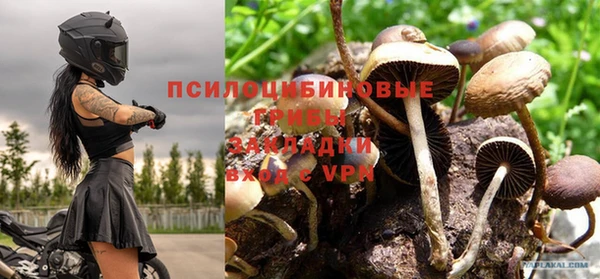 спайс Сатка