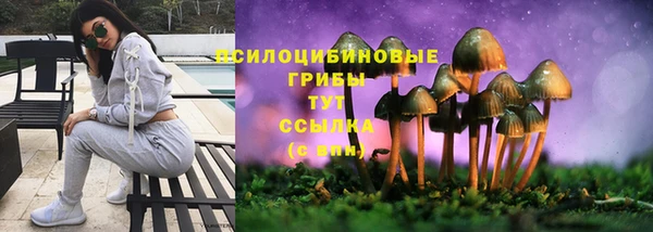 спайс Сатка
